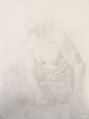 Seated Male Nude (brown chalk on paper)