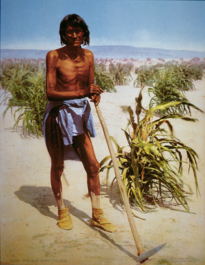 Hopi Farmer, Arizona, 1902 (photo)