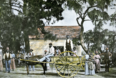 Field workers on the Hopkinson plantation, South Carolina, 1862 (photo)