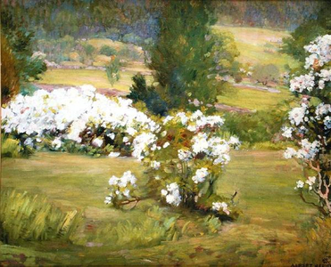 Blooming Flowers, c.1925 (oil on canvas)
