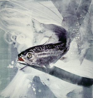 Caught!, 2002 (monoprint)