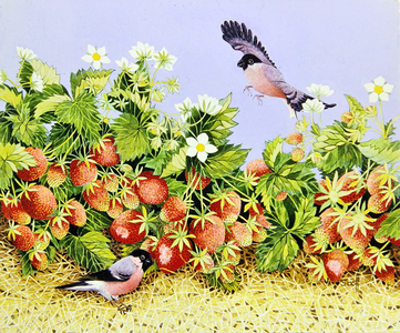 Strawberry Delight (acrylic on calico)