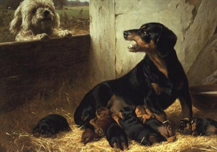 The Unwelcome Visitor