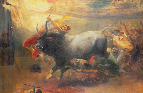 The Bullfight