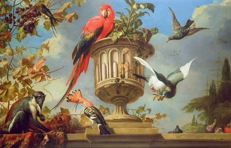 Scarlet Macaw perched on an urn, with other birds and a monkey eating grapes (oil on canvas)