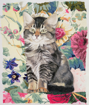 Sitting pretty (pastel on paper)