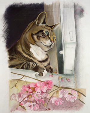 Stripy at the window (pastel on paper)