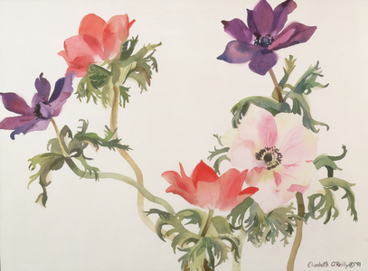 Anemones Series 6, 1991