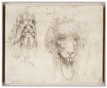 Two heads of grotesque animals, c.1490-95 (pen & ink and chalk on paper)