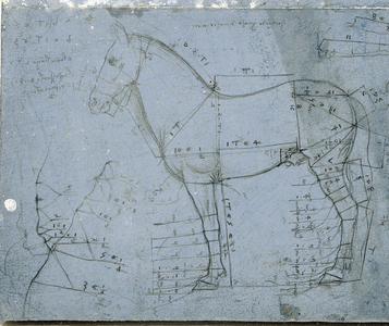 Horse in profile with measurements, c.1490 (metalpoint, pen & ink on blue paper) (detail of 427430)