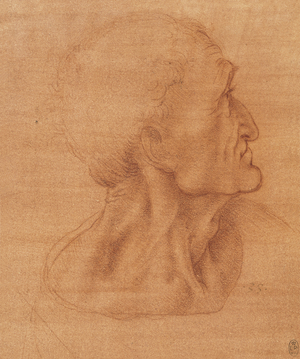 The head of Judas in the Last Supper, c.1495 (red chalk on pale red prepared paper)