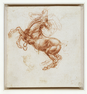 A rearing horse, c.1503-04 (pen & ink and chalk on paper)
