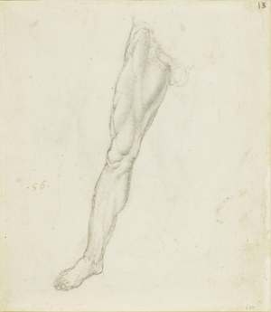 The musculature of a leg, c.1506 (pen & ink with black chalk on paper)