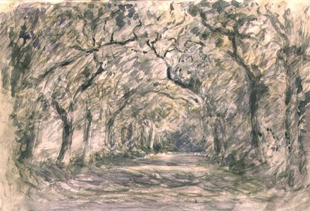 Oak Avenue, Knaresborough