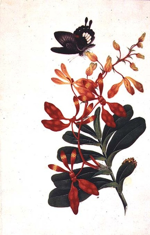 Butterfly and flowers, Chinese painting on silk, late 19th century