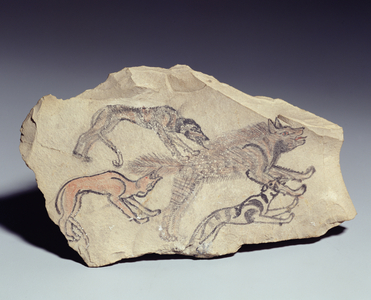 Ostracon depicting a dog chasing a hyena (limestone)