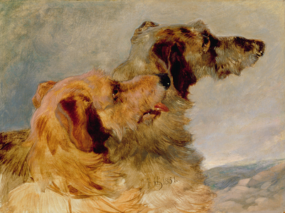 Two Deerhounds, 1851 (oil on paper)