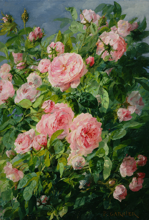 Pink Roses (oil on canvas)