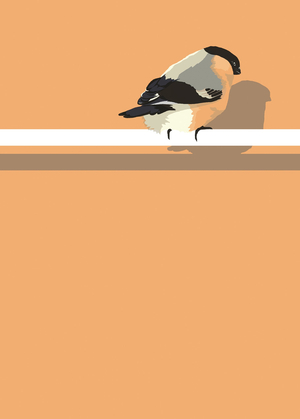 Bullfinch, 2008 (mixed media)