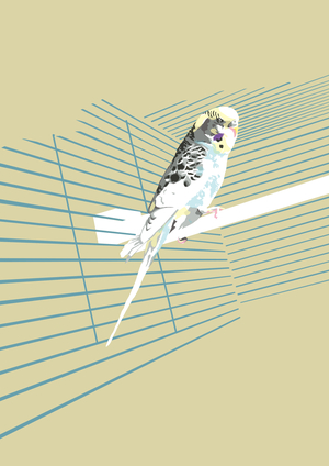 Budgie, 2008 (mixed media)