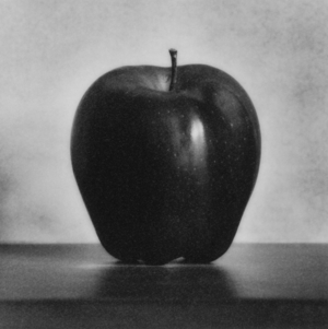 Apple (black and white photograph)