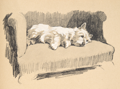West Highlander, 1930, Illustrations from his Sketch Book used for 'Just Among Friends', Aldin, Cecil Charles Windsor (1870-1935), later Published by Eyre and Spottiswoode Limited, 1934, Chalk and Charcoal on paper