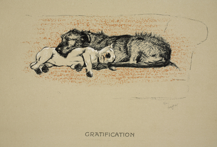 Gratification, 1930, 1st Edition of 'Sleeping Partners', Aldin, Cecil Charles Windsor (1870-1935), published by Eyre and Spottiswoode Limited, Chalk and Charcoal on paper