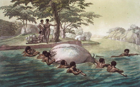 Gingri Tribesmen Crossing the River Zebee, plate 67 from 'Le Costume Ancien et Moderne'  by Jules Ferrario, published c.1820s-30s (colour litho)