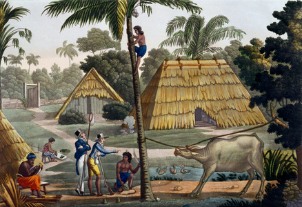 Naturalists question natives near Kupang, Timor, plate 7 from 'Le Costume Ancien et Moderne' by Jules Ferrario, published c.1820s-30s (colour litho)