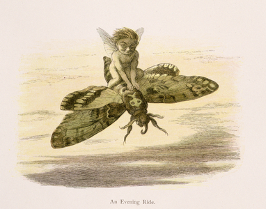 An Evening Ride, illustration from 'In Fairyland: A Series of Pictures from the Elf-World' by William Allingham and Andrew Lang (colour litho)