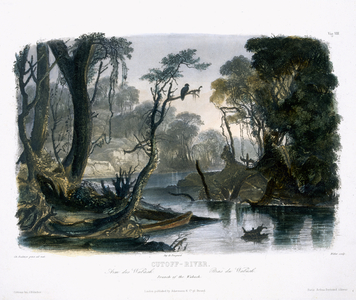 Cutoff River, Branch of the Wabash, plate 8 from Volume 1 of 'Travels in the Interior of North America', engraved by Lucas Weber, 1843 (aquatint)