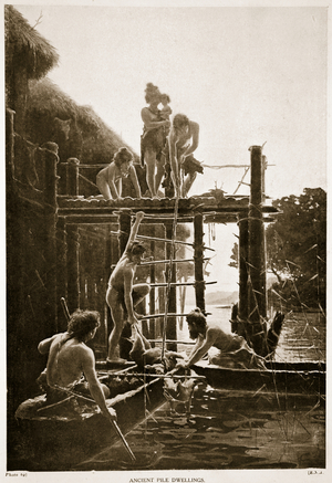 Ancient Pile dwelling, illustration from 'The History of the Nation' (litho)