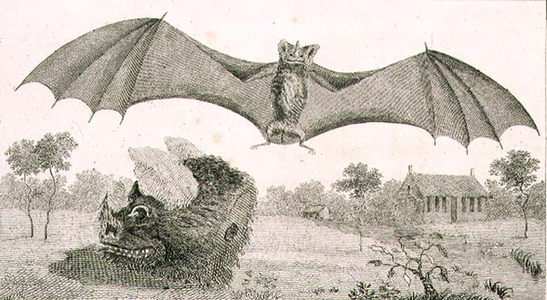 The Vampire or Spectre of Guiana, 1791, plate 58 from Volume II of 'Narrative of a Five Years' Expedition against the Revolted Negroes of Surinam', engraved by Anker Smith (1759-1819) pub. 1806 (engraving)