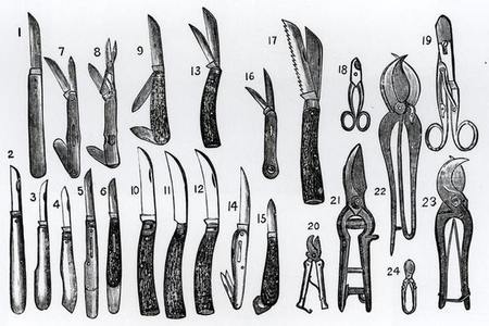 Knives and secateurs, from 'The Fruit Grower's Guide', published c.1897-1905 (engraving) (b/w photo)