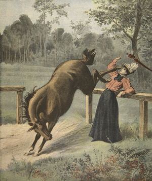 Terrible kick, illustration from 'Le Petit Journal: Supplement illustre', 3rd July 1898 (colour litho)