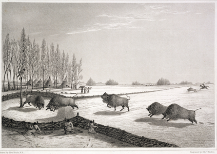 A Buffalo Pound, from 'Narrative of a Journey to the Shores of the Polar Sea in the Years 1819-22' by John Franklin (1786-1847) engraved by Edward Finden (1791-1857) 1823 (engraving)