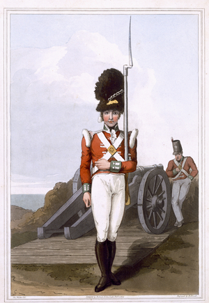 Grenadier of the First West York Militia, engraved by Robert Havell the Elder, published 1814 by Robinson and Son , Leeds (colour litho)
