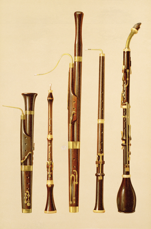 A dulcian, an oboe, a bassoon, an oboe da caccia and a basset horn, from 'Musical Instruments' (coloured litho)