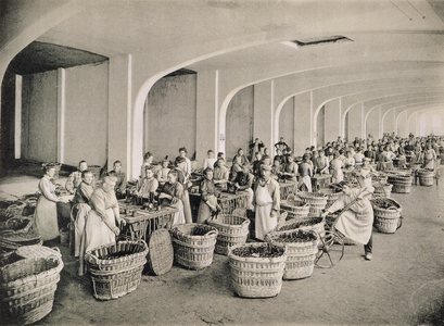 Rinsing the bottles, from 'La France Vinicole', published by Moet & Chandon, Epernay (photolitho)