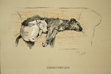 Gravitation, 1930, 1st Edition of 'Sleeping Partners', Aldin, Cecil Charles Windsor (1870-1935), published by Eyre and Spottiswoode Limited, Chalk and Charcoal on paper