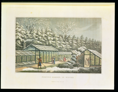 Forcing Garden in Winter, from Fragments on the Theory and Practice of Landscape Gardening', pub. 1816 (colour litho)