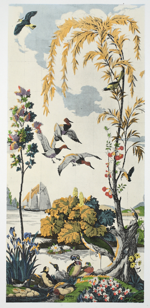 Magnum Opus: Canvasbacks, pub. 1933 (colour litho)