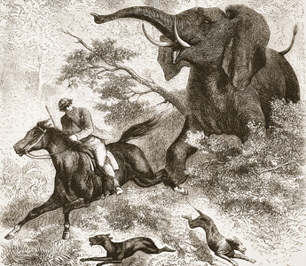 Chased by an elephant, illustration from The Pictorial Edition of the Life and Discoveries of David Livingstone by J. Ewing Richie, pub. by A. Fullarton & Co., 1876 (litho)