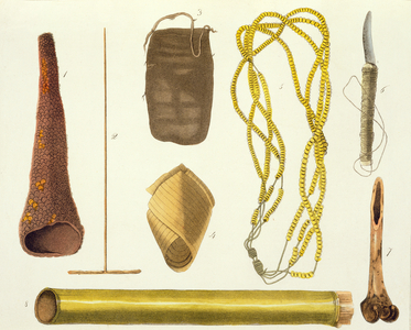 Objects belonging to the Botocudos (colour engraving)