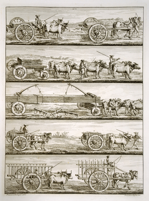 Various carts (engraving)