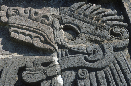 Snake's head from the Quetzlacoatl Temple, classical epoch, 7th or 8th Century AD (photo) (detail)