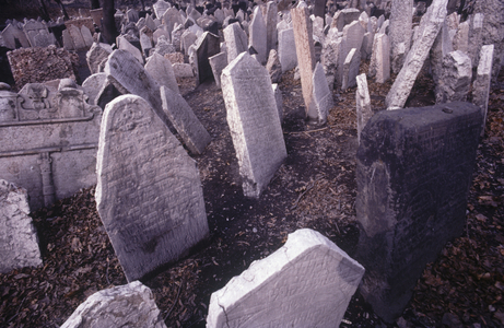 Gravestones with Hebrew inscriptions in the Old Jewish cemetery in the Old Town (photo)