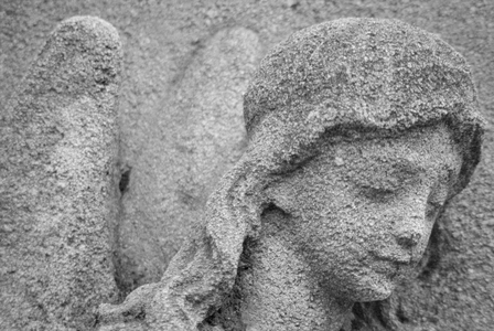 Head of an angel (b/w photo)