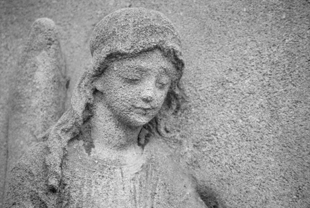 Head of an angel (b/w photo)