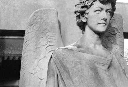 Angel (photo) (see also 287115)